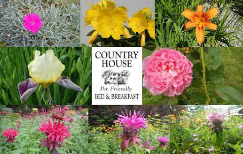 Jobs in Country House Bed & Breakfast - reviews